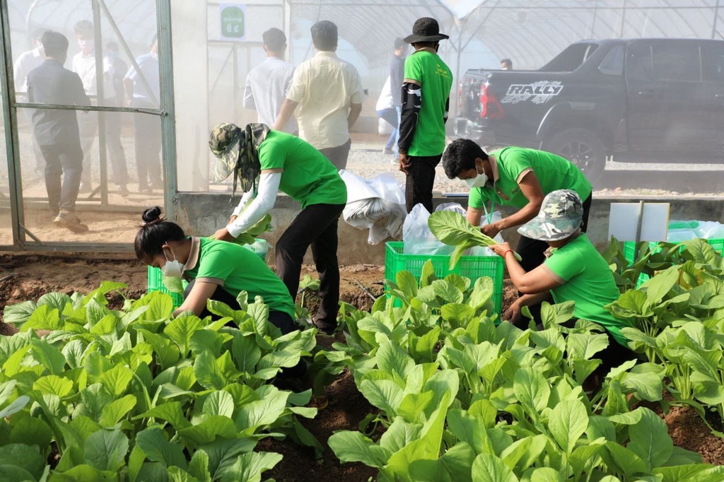 Agriculture