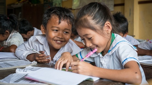 Academic Assessment (Grade 3 Standardized Test and SEA-PLM)